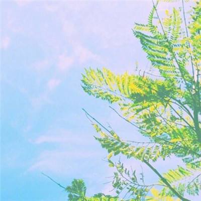 逍遥剑侠(暂未上线)v1.0.1 安卓版