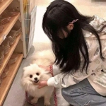 7477黎明奇兵下载